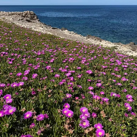 Casamare *